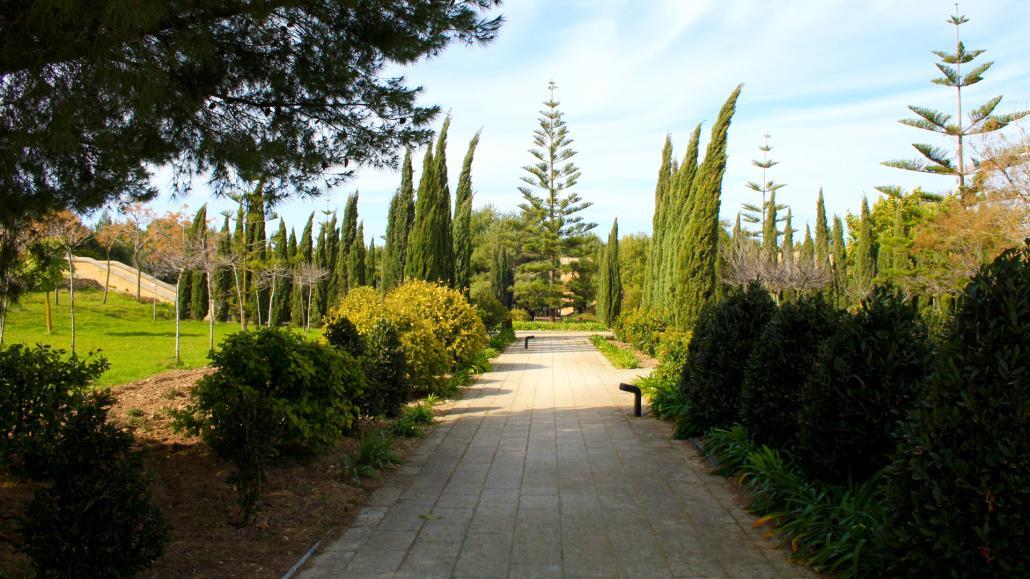 The Best Places for a Picnic in Malta AX Hotels Malta