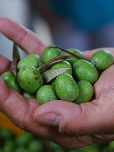 Local Olives