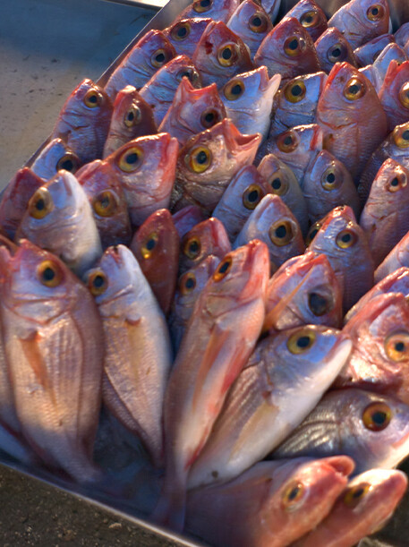 Best Malta Food - Marsaxlokk Fish Market