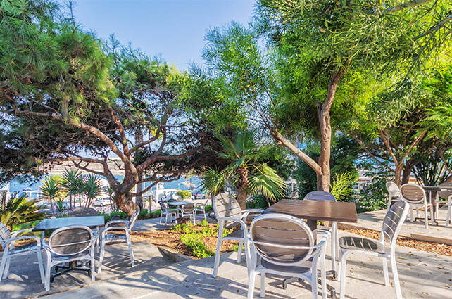 AX Sunny Coast - Hotel Facilities - Garden