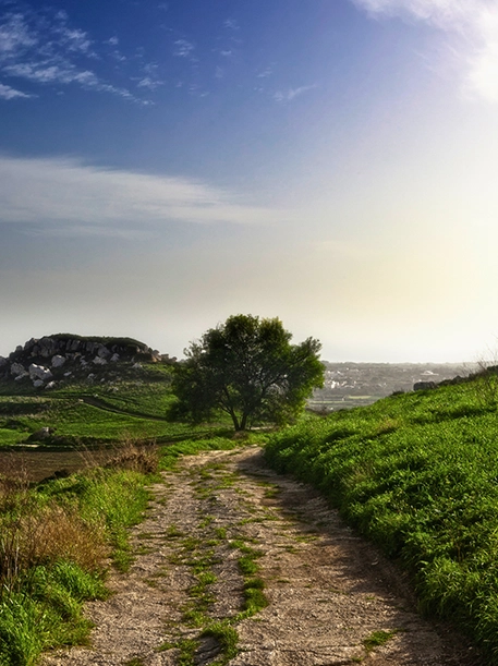 AX Hotels - Environmental Good Behaviour - Maltese Landscaoe