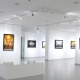 Art Galleries in Malta