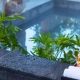 Outdoor Jacuzzi at Verdala Wellness Hotel in Rabat Malta