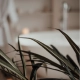 Treatments at 5-star Verdala Wellness Hotel in Rabat